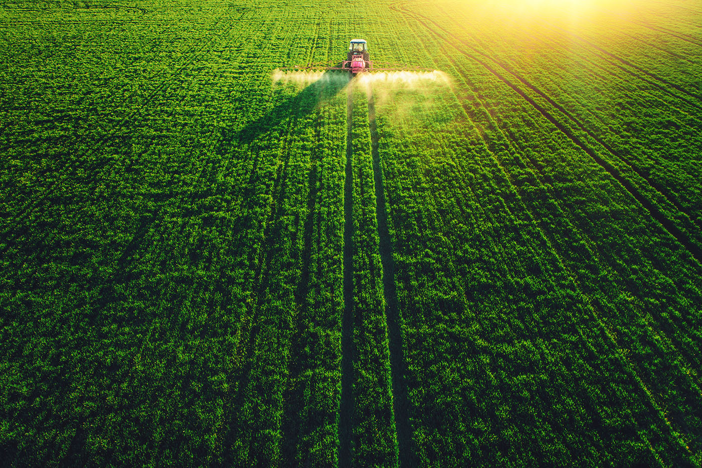 Agriculture Careers Webinar