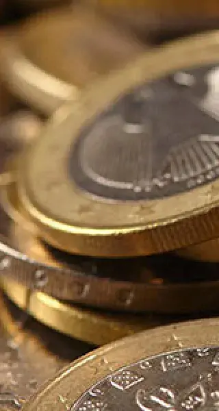 Fees & Grants