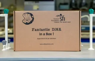 Fantastic DNA in a Box