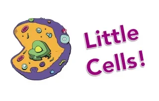 Little Cells