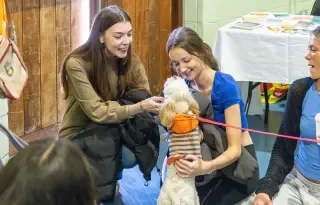 Students meeting one of the dogs from Dundalk Dog Rescue during Mental Health Week