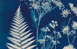 Into the Blue – Out of the Blue