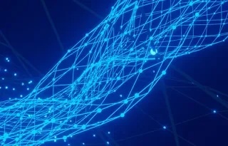 Building Digital Bridges