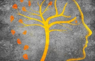 Smart Dementia Care