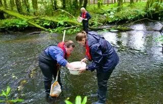 Moireen Taggart, Orla Callan and Jennifer Byrne (H2O Heroes, DkIT) carrying out kick sampling to collect and identify aquatic macroinvertebrates as indicators of river health and water quality for a community group in Co. Cavan.