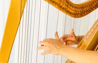 Annual conference of The International Council for Traditional Music Ireland