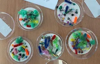 Steamy Microbes Class
