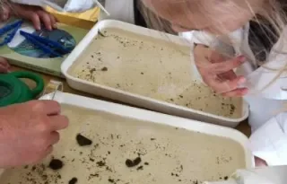 Environmental Education 