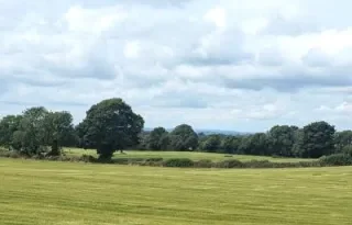Agri-Environmental Research 