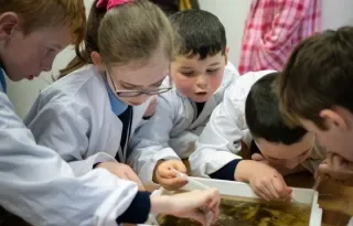 Science Outreach at DkIT for Primary Schools