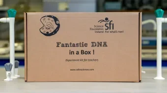 Fantastic DNA in a Box