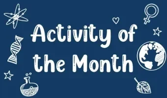Curious minds activity of the month