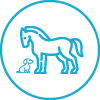 Live animal handling opportunities