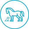 Live animal handling opportunities