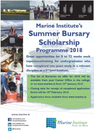 Marine Summer Bursary