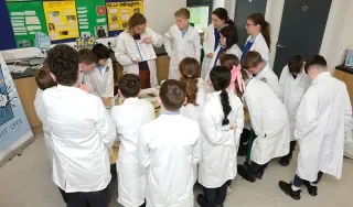 St Brigid's NS exploring how scientists measure water quality