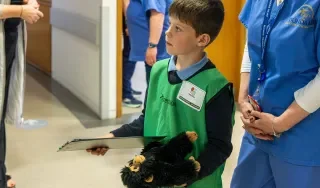 Checking in to the Teddy Bear's Hospital