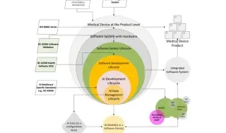 AI within the software development lifecycle 