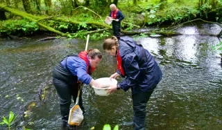 Moireen Taggart, Orla Callan and Jennifer Byrne (H2O Heroes, DkIT) carrying out kick sampling to collect and identify aquatic macroinvertebrates as indicators of river health and water quality for a community group in Co. Cavan.