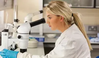 DkIT announces five fully funded PhD Studentships