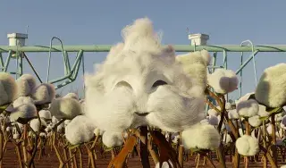 Fluff, created by DkIT Animation students
