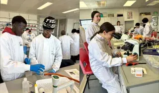 Germ Lab 