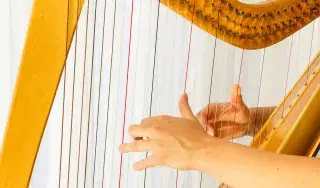 Annual conference of The International Council for Traditional Music Ireland