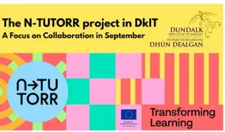 N-TUTORR
