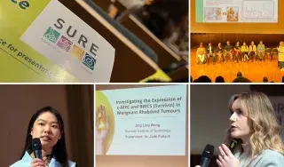 SURE Conference