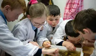 DkIT Science Week