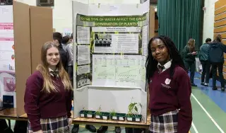 Scifest