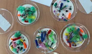 Steamy Microbes Class