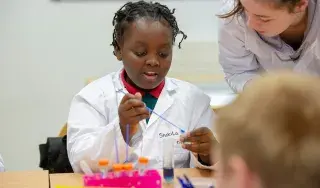 Students learn about the amazing world of bees and pollination