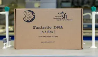 DNA in a Box Set
