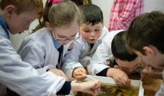 Science Outreach at DkIT for Primary Schools