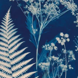 Into the Blue – Out of the Blue