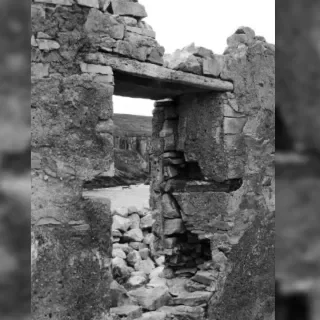 CARC Research Symposium: 'Death, Dirt and Decay'